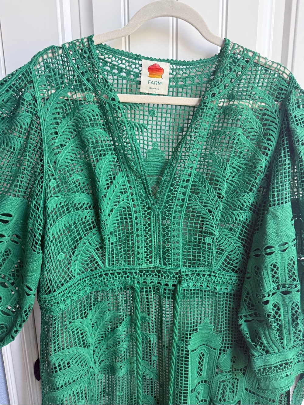 FARM Rio Emerald Green Crochet Maxi Dress - Picture 4 of 8